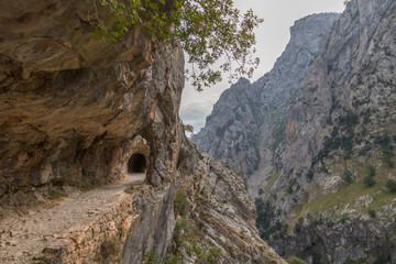 Fototapeta na wymiar Tunnel pathway in Cares river canyon