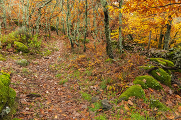Obraz premium Landscape near Montanchez. Extremadura. Spain.