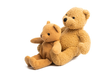 soft bear toy isolated