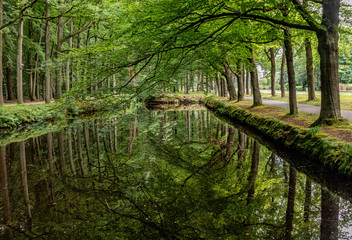 Reflections of trees in pond of Ter Horst castle in The Netherlands