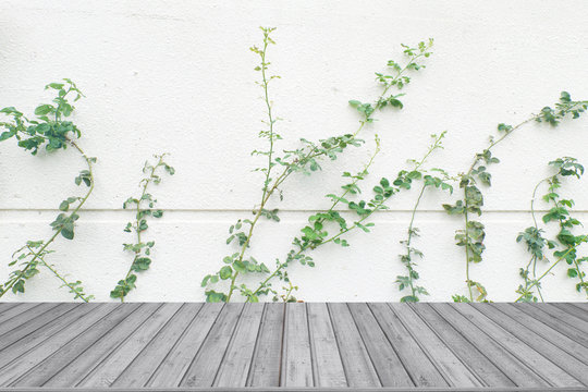 rose leaves on wall with wood textured backgrounds © Arnut