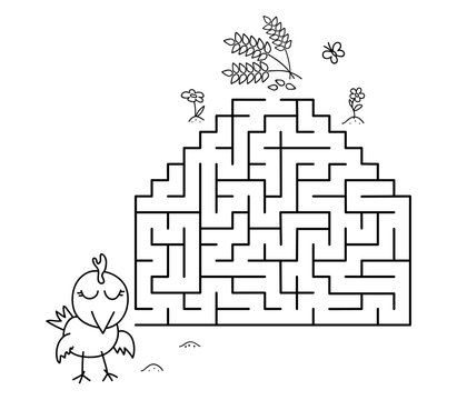 Black coloring pages with maze. Cartoon chicken and wheat. Kids education art game. Template design with pet on white background. Outline vector