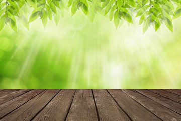 Naklejka na ściany i meble natural green background with wood textured backgrounds