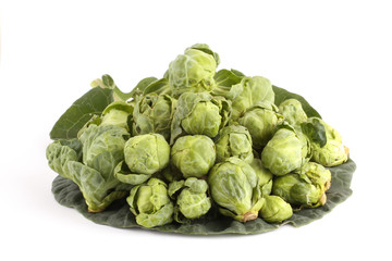 Obraz premium brussels sprouts