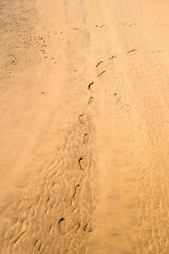 pisadas en la arena de una playa
