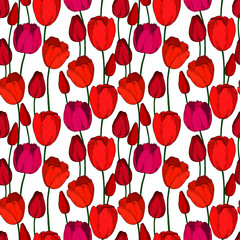 seamless pattern with tulips. spring pattern