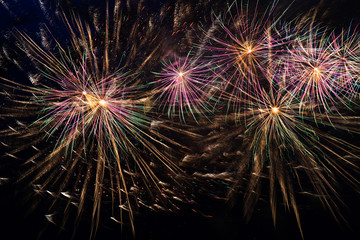 Fireworks in the night sky