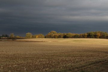 Farmland with autumn sunbeam shining on stubble and woodland with dark storm clouds above cornfield. In North Yorkshire UK