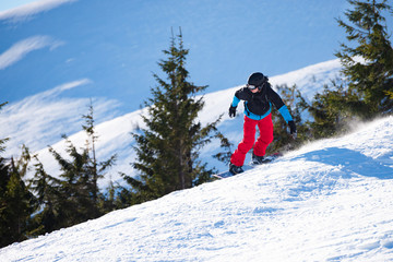 Snowboarder Riding Snowboard at Sunny Day. Fir Forest and Mountain Hill at Background. Snowboarding and Winter Sports