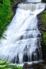 Fototapeta premium waterfall in forest