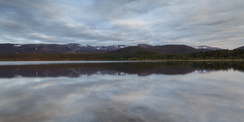 Fototapeta premium Loch morlich - Cairngorms - Ecosse