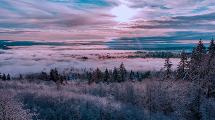 Dense, rose-tinged cloud (inversion) covering valley floor.