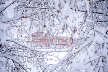 Winter landscape in the city of Neustift in the Stubai Valley in Austria. View of a typical austrian house through tree branches