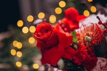 floral arrangement with red and white peony roses, exotic flowers on a Christmas background. flowers close-up. Holiday background for New Year, Christmas, Valentine's Day and Mother's Day.