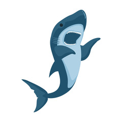 Fish shark vector icon.Cartoon vector icon isolated on white background fish shark .