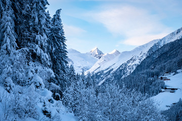 Beautiful winter landscape with snow covered trees and Mountains in Stubai valley, Tirol, Austria