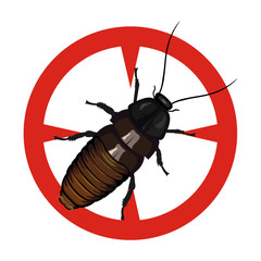 Cockroach insect vector icon.Cartoon vector icon isolated on white background cockroach insect.