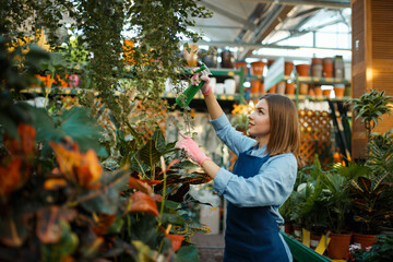 Female seller spraying plants, shop for gardening