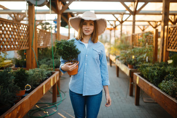 Female customer buying flower in a pot, floristry