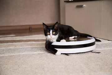 A black cat plays with a robotic vacuum cleaner that cleans the floor.pet playing with robot vacuum...