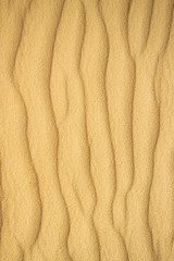 Fototapeta na wymiar Summer sand dune pattern for background. Close-up of patterns in a sand dune with ripples, sand texture
