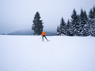 Naklejka na ściany i meble Langläufer in orange läuft in Winterlandschaft Ski. Rennsteig. Thüringer Wald