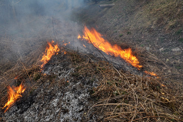 In spring, a dry grass is burned