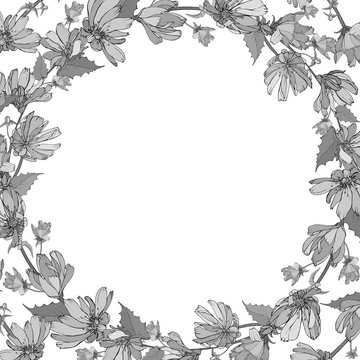 Floral cute frame with gray wildflowers Chicory on white. Copy space. Hand drawn. Background for wedding invitations, cards, textile, posters, web page. Vector stock illustration.