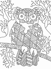 Cartoon detailed night wild owl coloring book page for adults and kids. Black and white line art illustration. Zenart night bird picture.