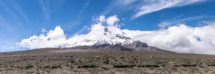Panorama du volcan Chimborazo en Équateur © Suzanne Plumette