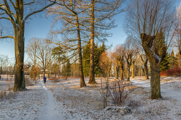 On The Thin Ice Of The New Day.  Tsarskoye Selo, Babolovsky Park, Pushkin, St. Petersburg, Russia,