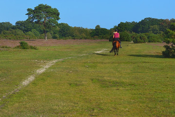 Promenade à cheval en nature