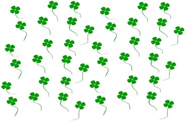 green clover on white background