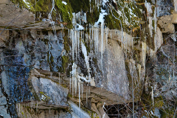 waterfall in forest