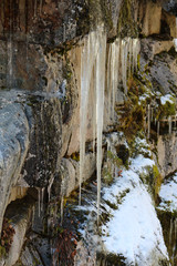 waterfall in forest