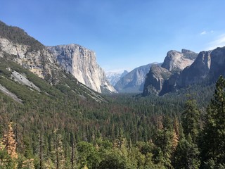 Half Dome granite mountain Yosemite National Park, California, USA