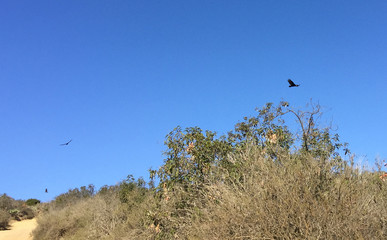 Travel pictures of landscapes