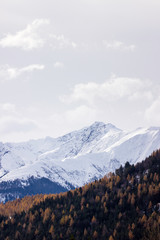 Autumn forest overlapping a Winter mountain in the alps portrait