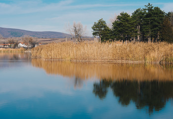 Reflection of trees in water.