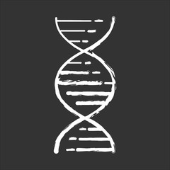 DNA double helix chalk icon. Deoxyribonucleic, nucleic acid structure. Spiraling strands. Chromosome. Molecular biology. Genetic code. Genome. Genetics. Isolated vector chalkboard illustration