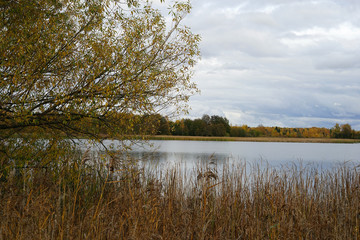 autumn, landscape, lake, water, forest, river, 