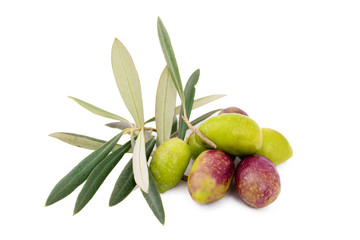 natural olives isolated on white background with olive branches