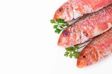 natural raw fish isolated on white background, salmon or mullets