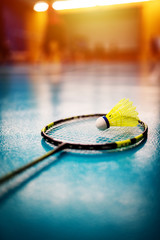 Badminton shuttlecock and racket