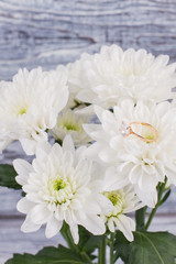Jewelry ring and white delicate flowers. Golden diamond ring on natural romantic background. Marriage proposal concept.