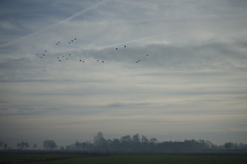 Südbrookmerland Landschaft