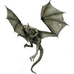 gray dragon flying dragon fantasy animal Mythological creature © david