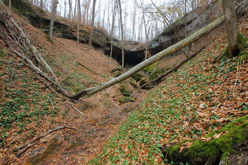 Hosak's Cave in Fall, Salt Fork State Park, Ohio