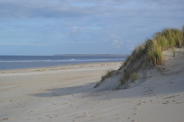 Technique, nature, sands