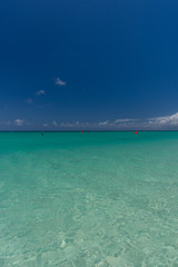 Fototapeta premium ミコマスケイ